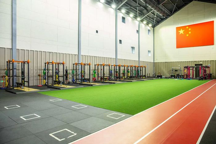 体能训练解决方案-广西今年会jinnianhui体育 体能训练解决方案-广西今年会jinnianhui体育